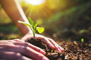 Emissionen ausgleichen Emissionen ausgleichen