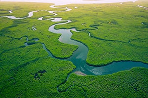 Klimafreundliche Projekte - Regenwald Klimafreundliche Projekte - Regenwald